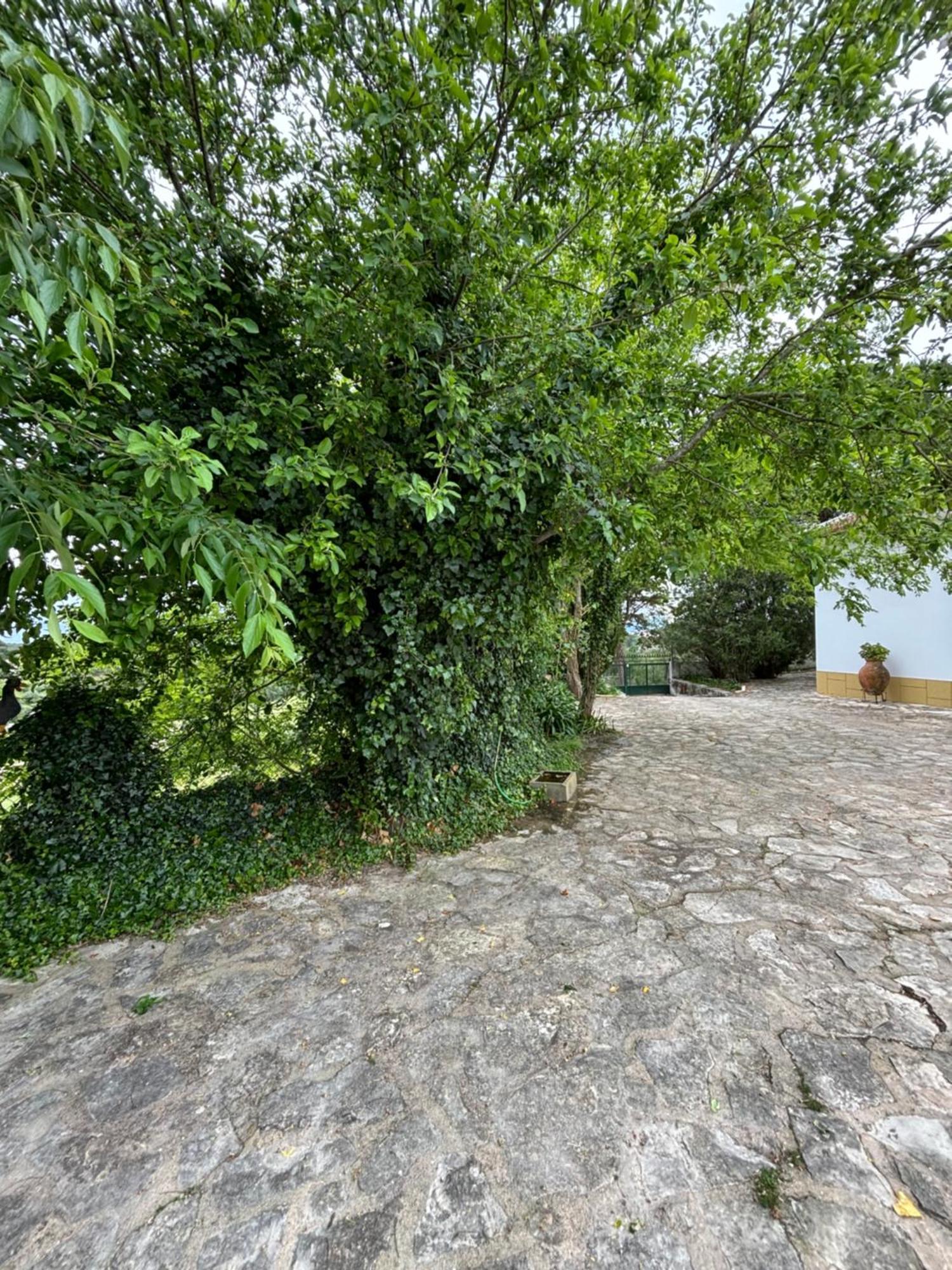 Casa Da Nogueira Villa Tomar Dış mekan fotoğraf