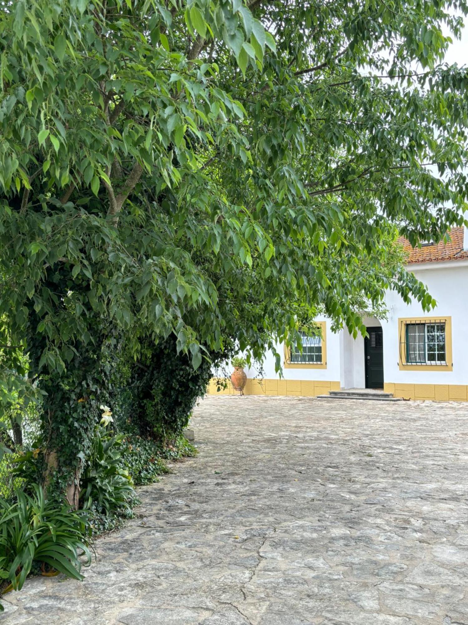 Casa Da Nogueira Villa Tomar Dış mekan fotoğraf